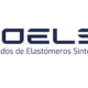Moelsi nueva identidad